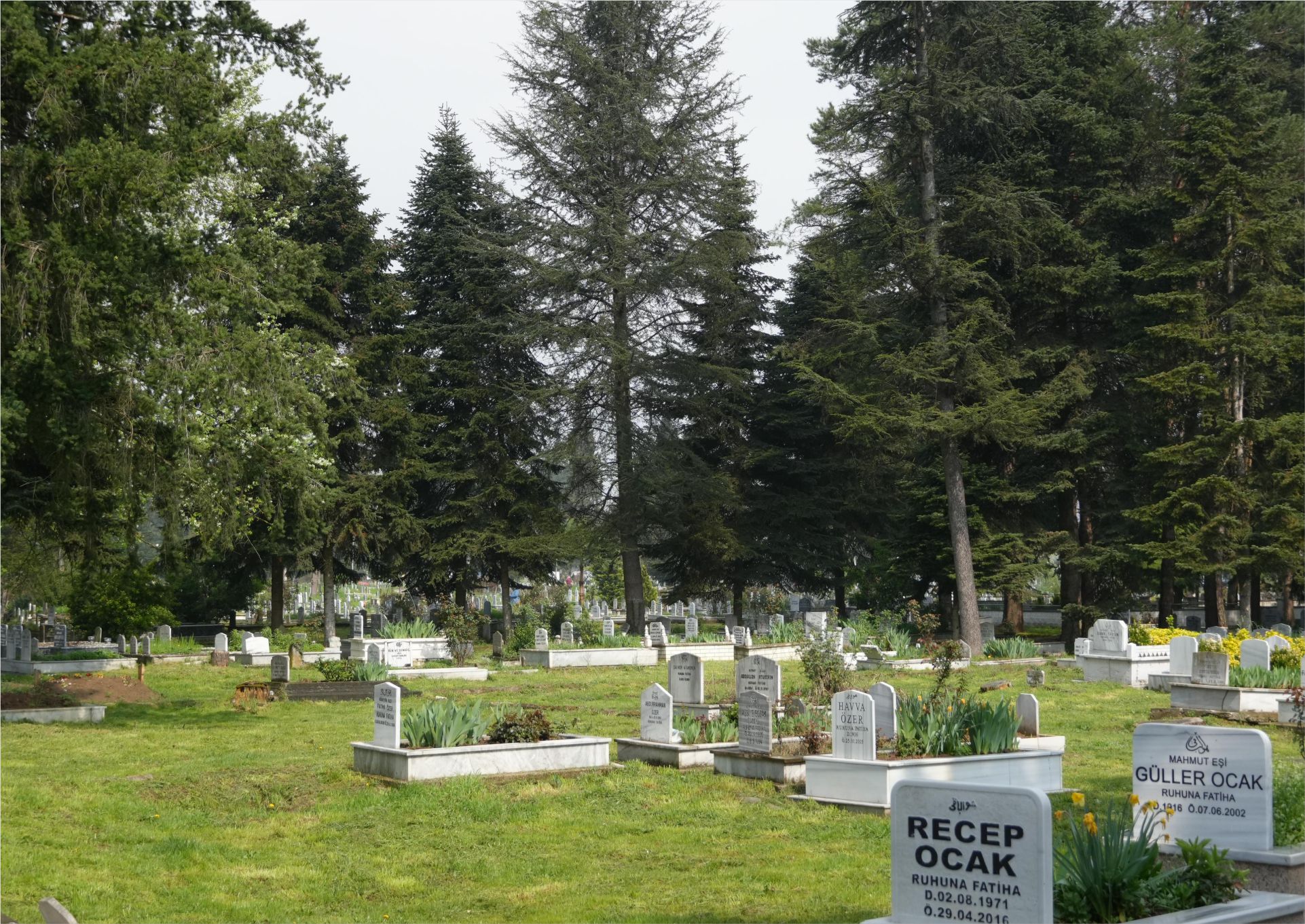 MEZARLIK BİLGİ SİSTEMİ (MEBİS)