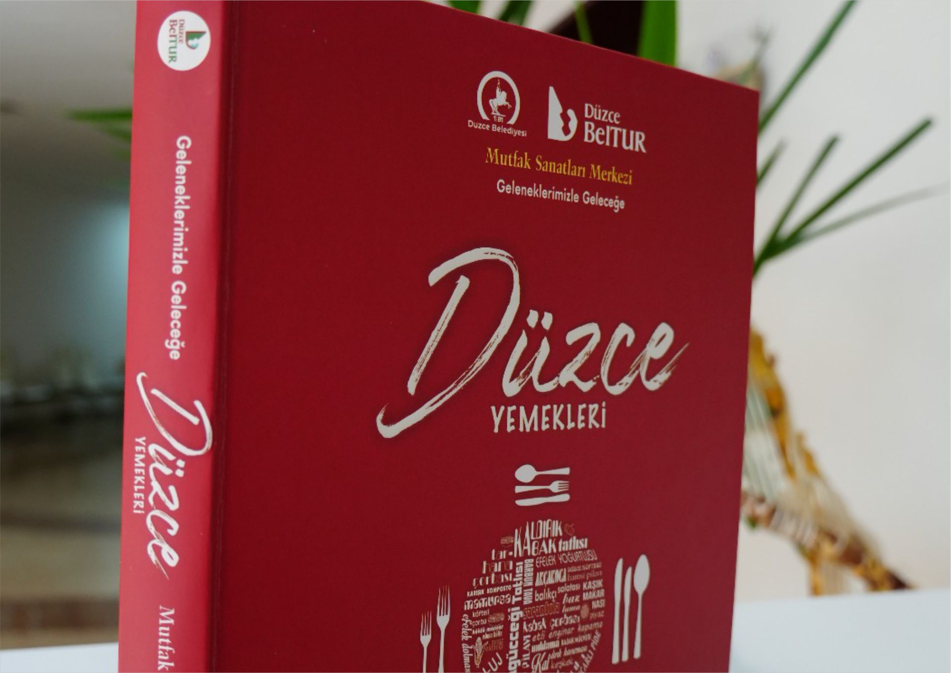 DÜZCE YEMEKLERİ KİTABI