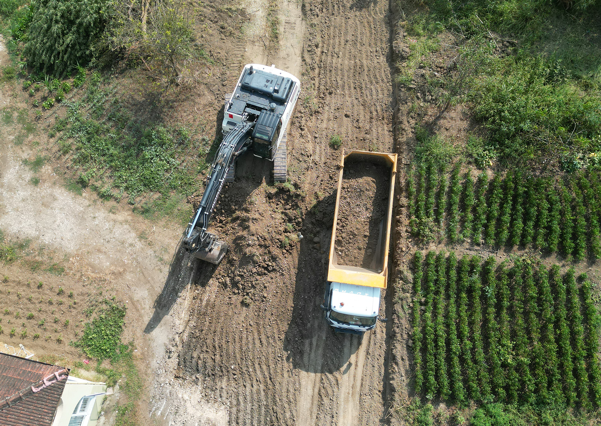 GÜNEY BULVARI PROJESİ