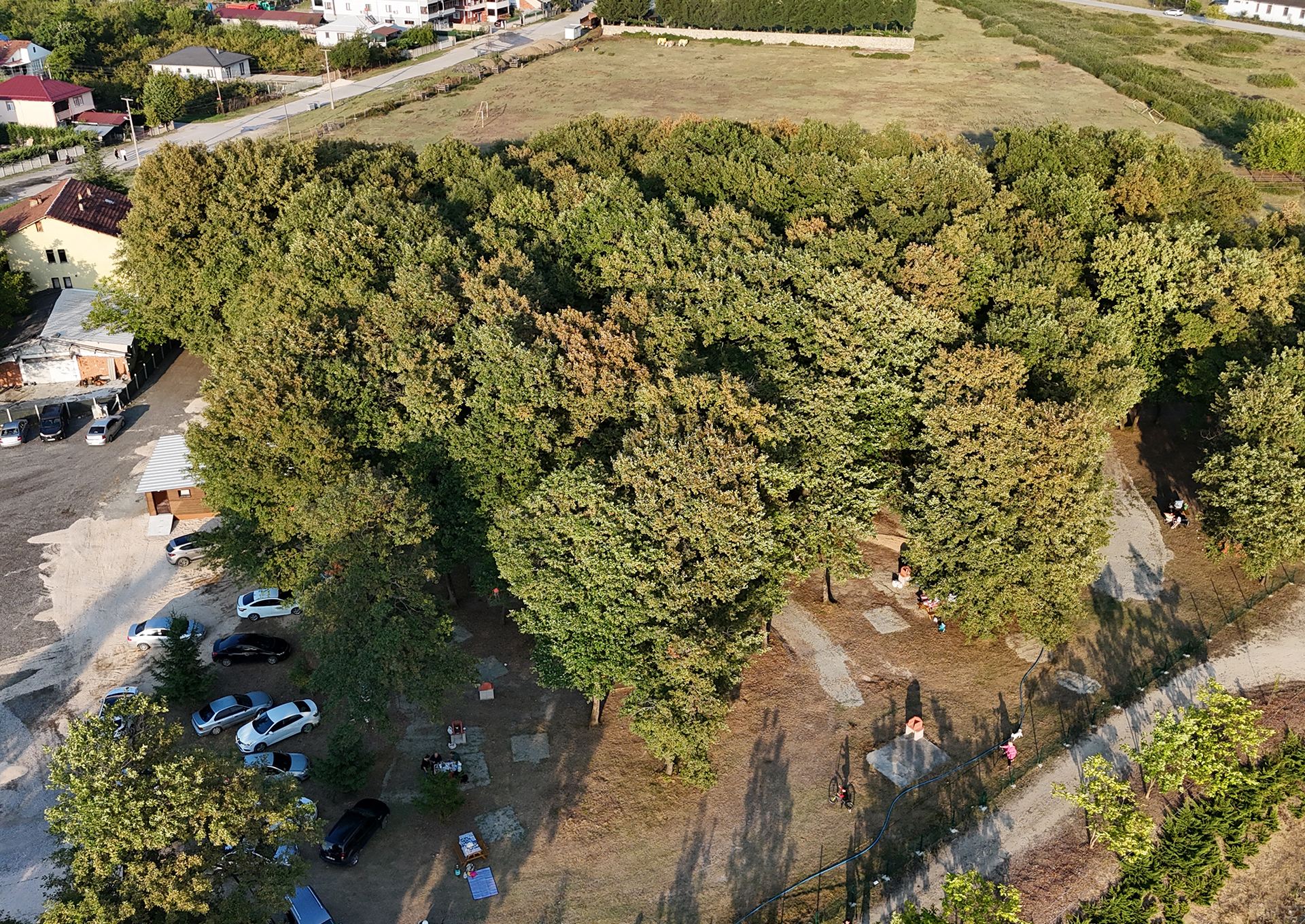 MUNCURLU PARK PROJESİ