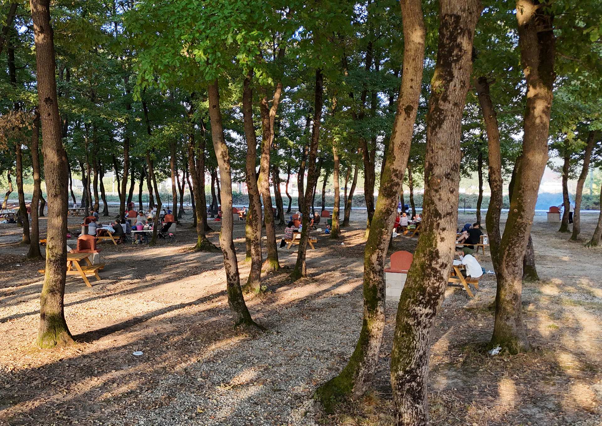 MUNCURLU PARK PROJESİ