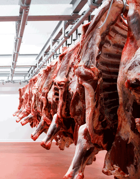 MODERN ET KOMBİNASI