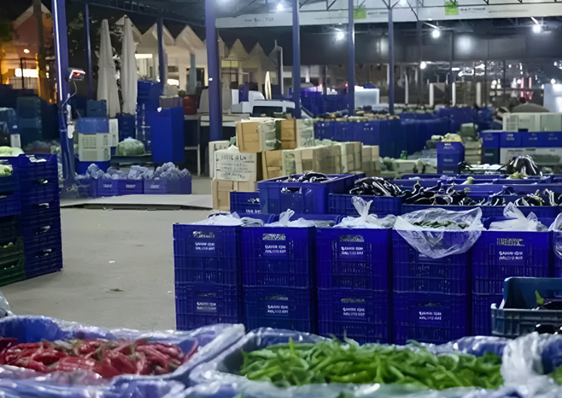 YENİ HAL BİNASI PROJESİ