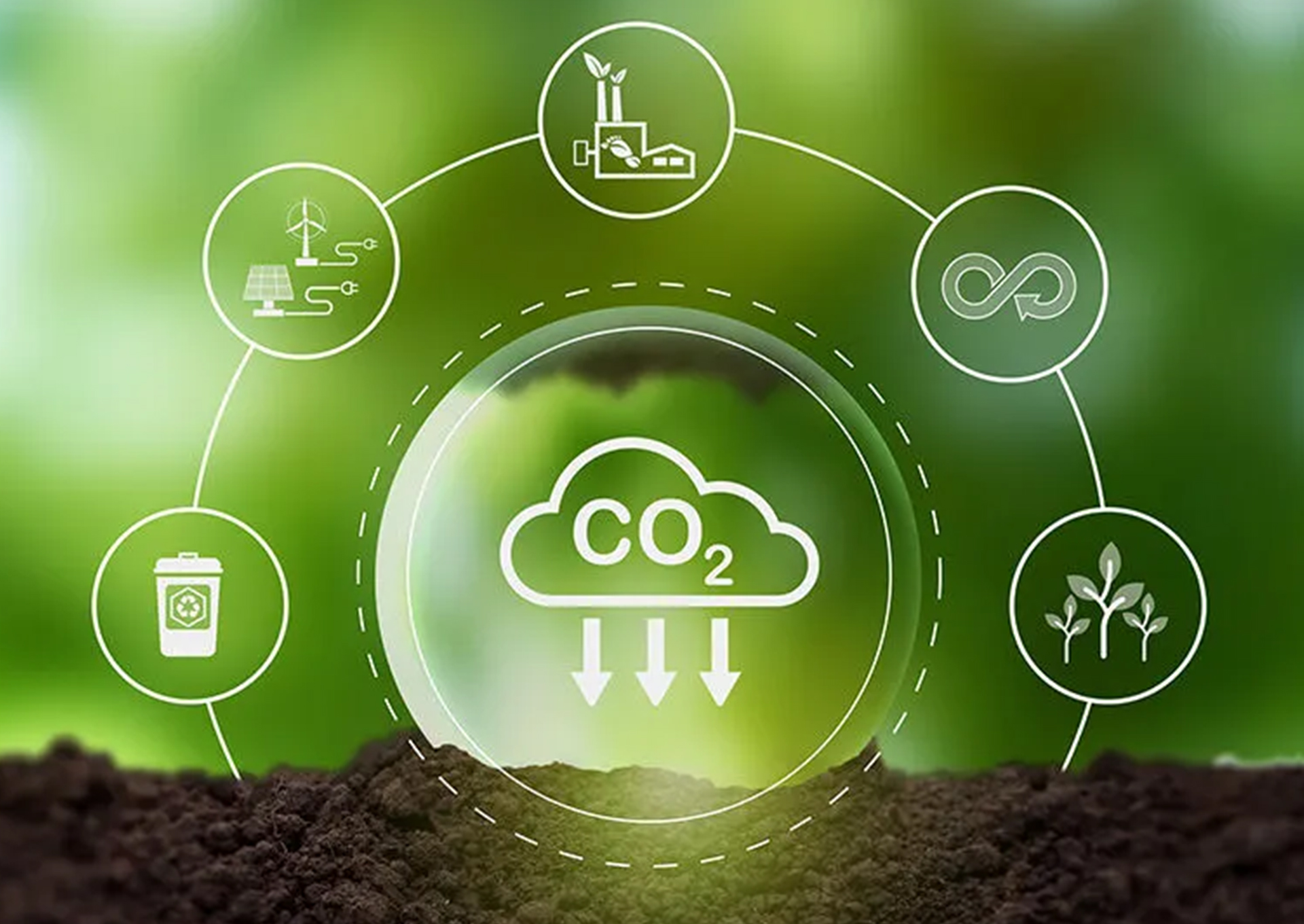 KARBON YAKALAMA ALANI