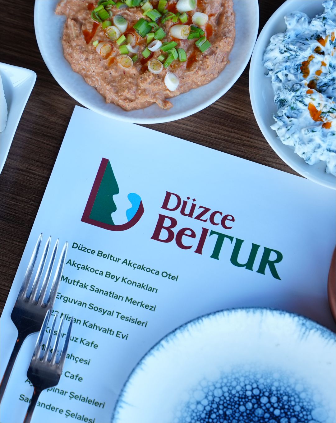 DÜZCE BELTUR A.Ş.