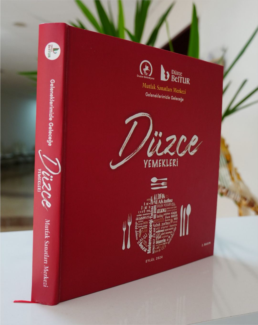 DÜZCE YEMEKLERİ KİTABI