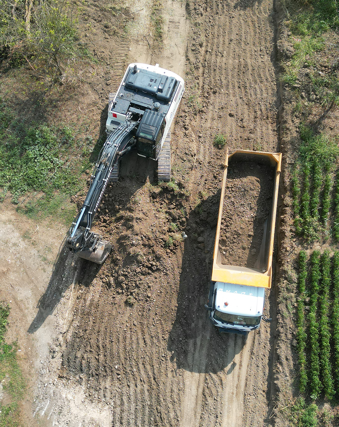 GÜNEY BULVARI PROJESİ