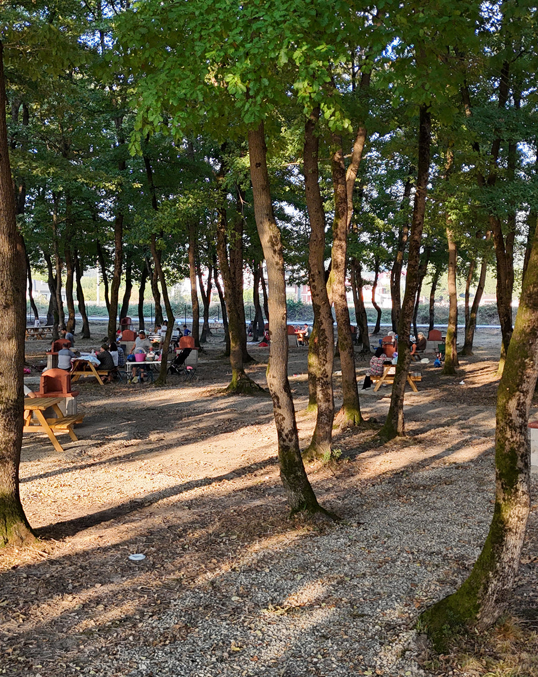 MUNCURLU PARK PROJESİ