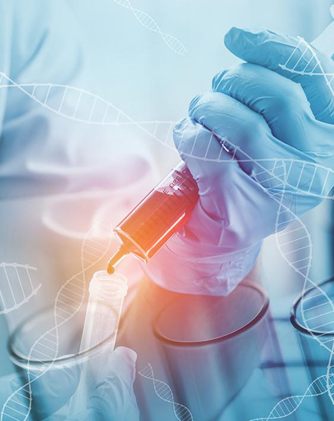 BİLİM AKADEMİSİ GÖNÜLLÜ GENÇLER PROJESİ