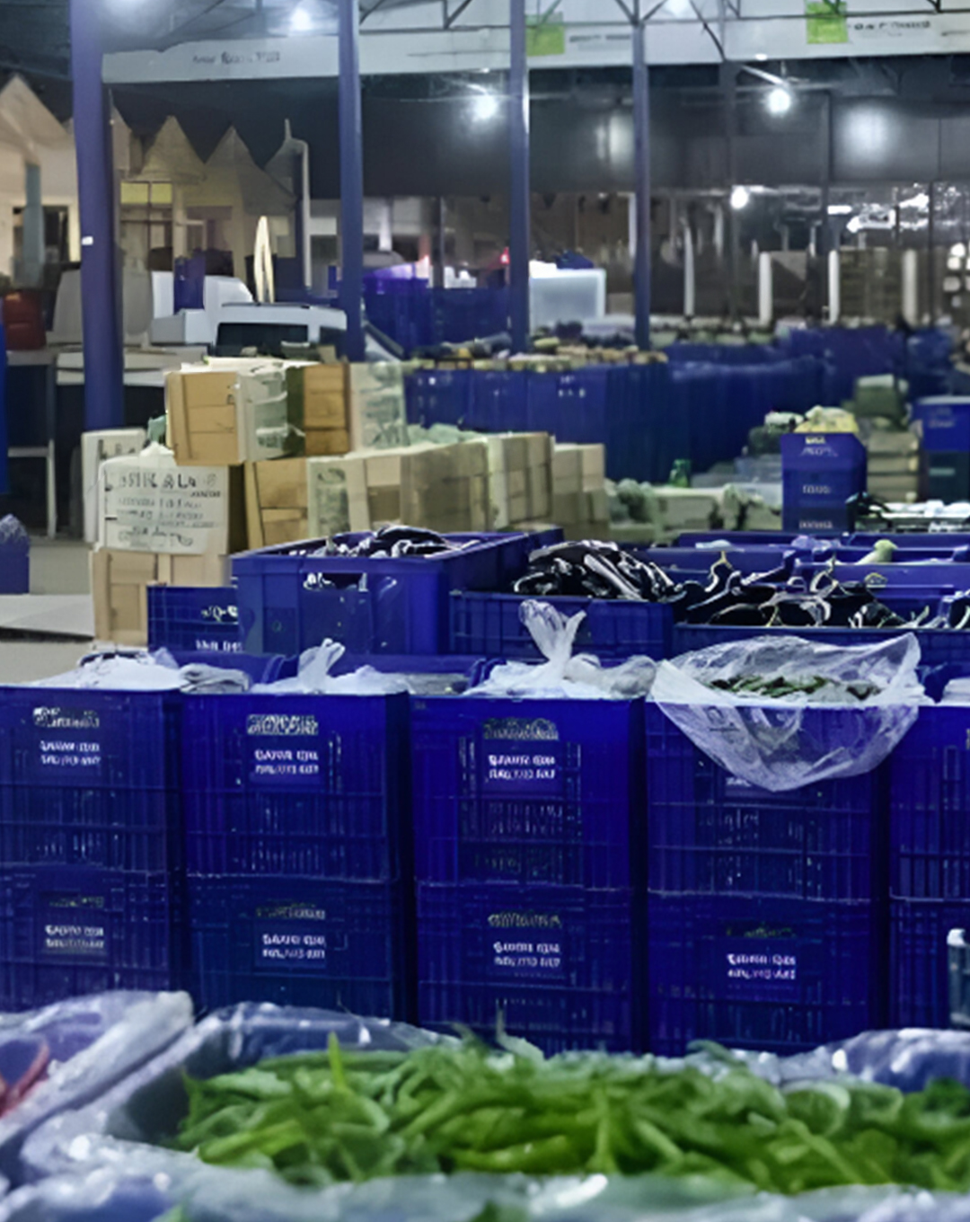 YENİ HAL BİNASI PROJESİ